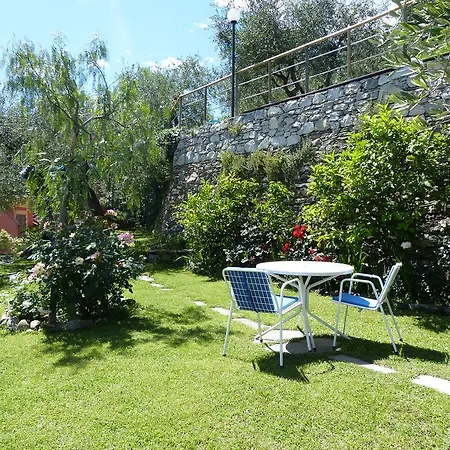Garden *