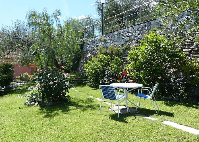 Garden *
