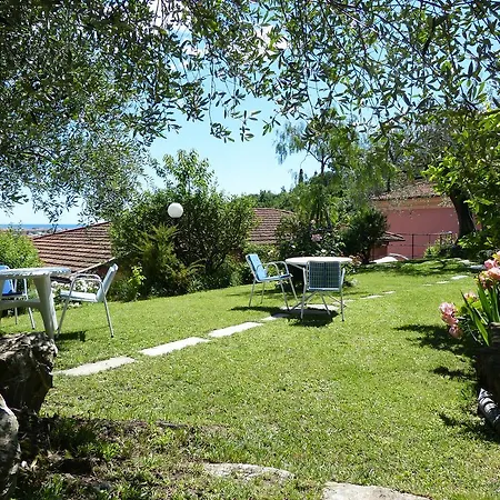 Garden *